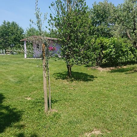 Il Carpino Bianco Bilocale Apartman Puegnago Szoba fotó